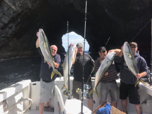 Fishing Activities in the Bay of Islands